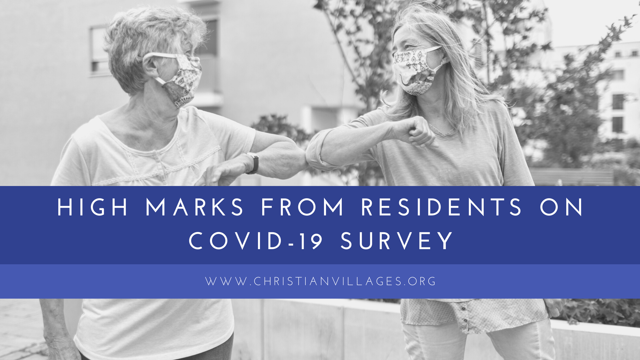 covid survey results