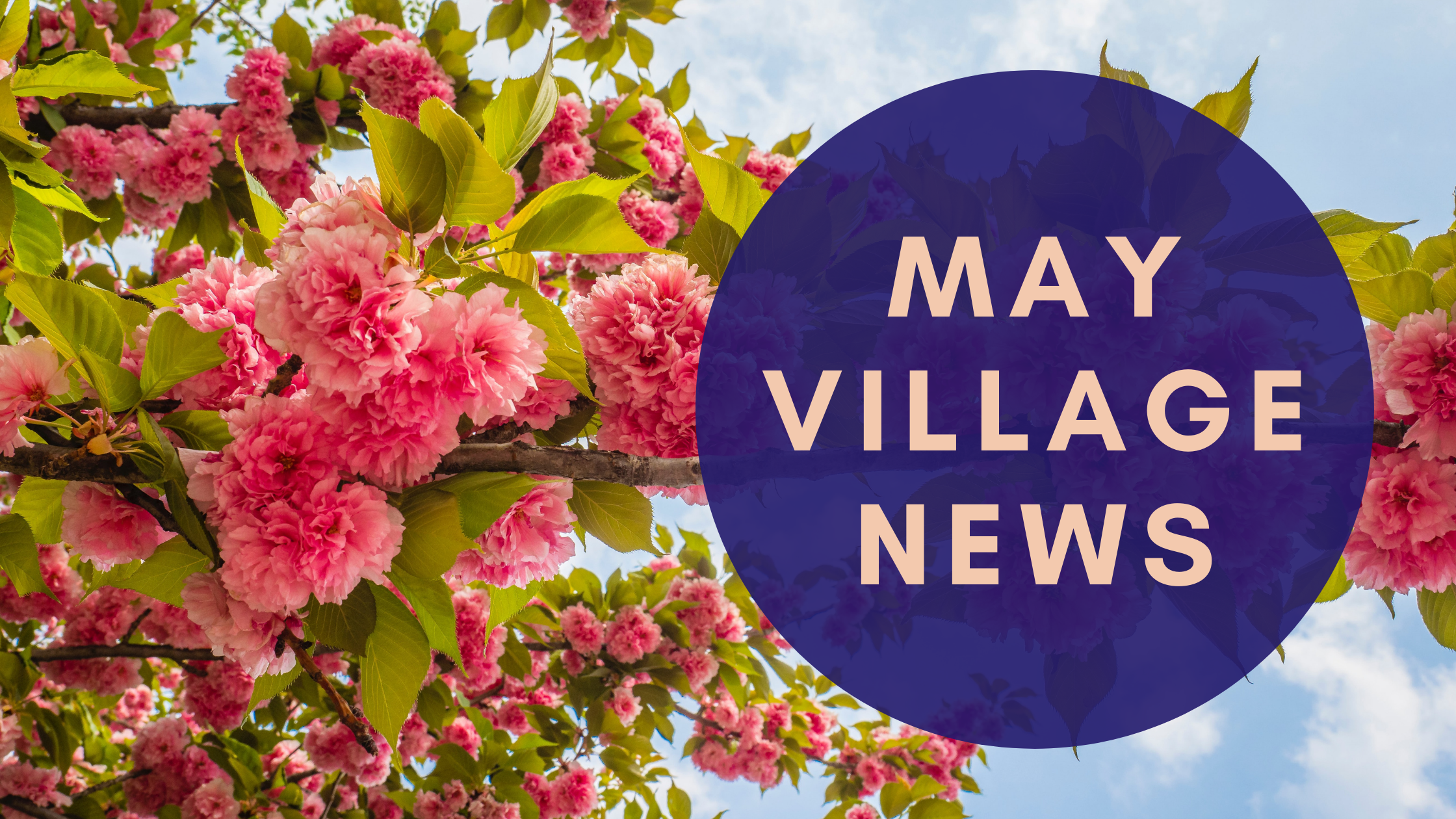 May CVM Village News