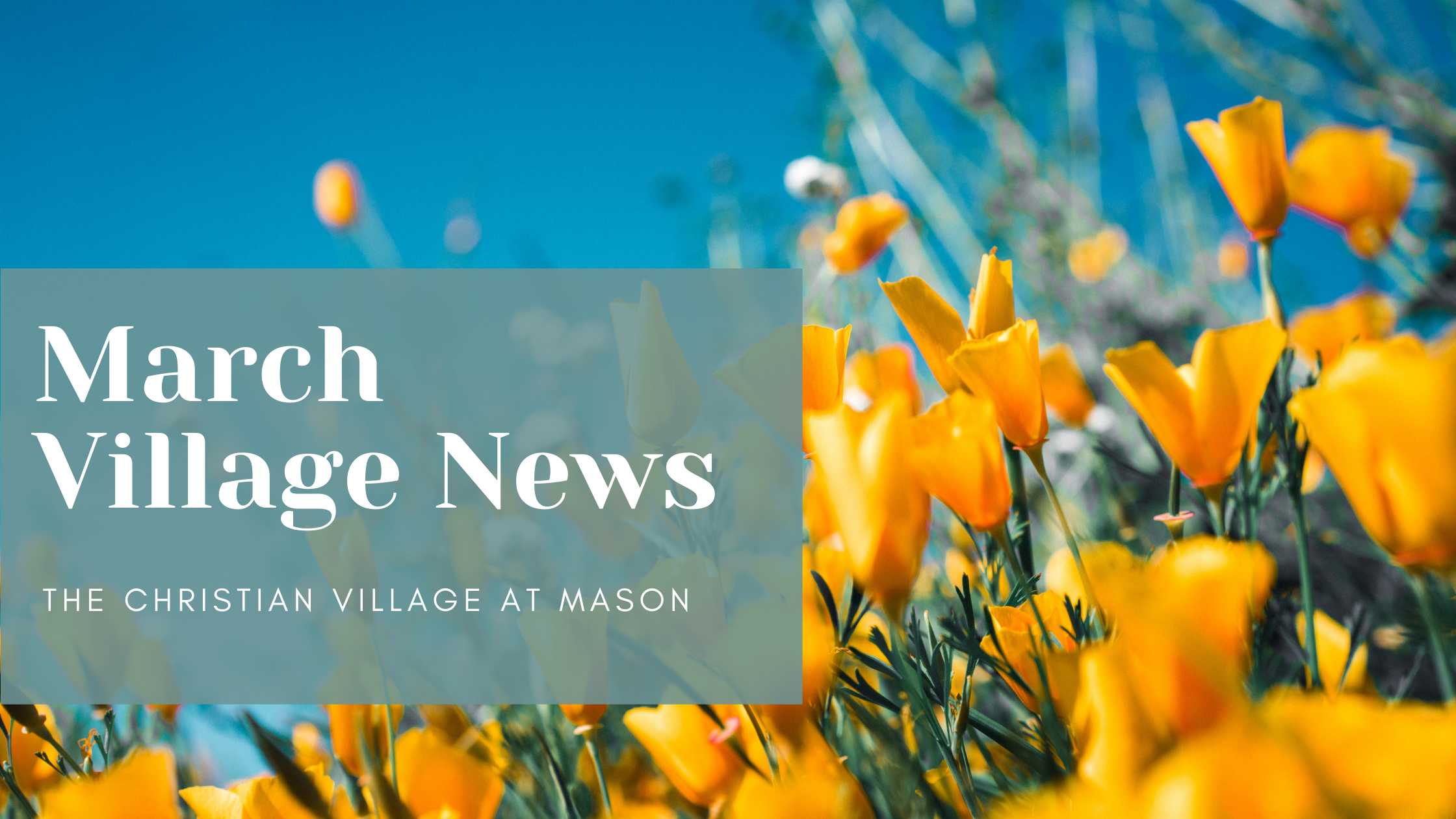 March CVM Village News