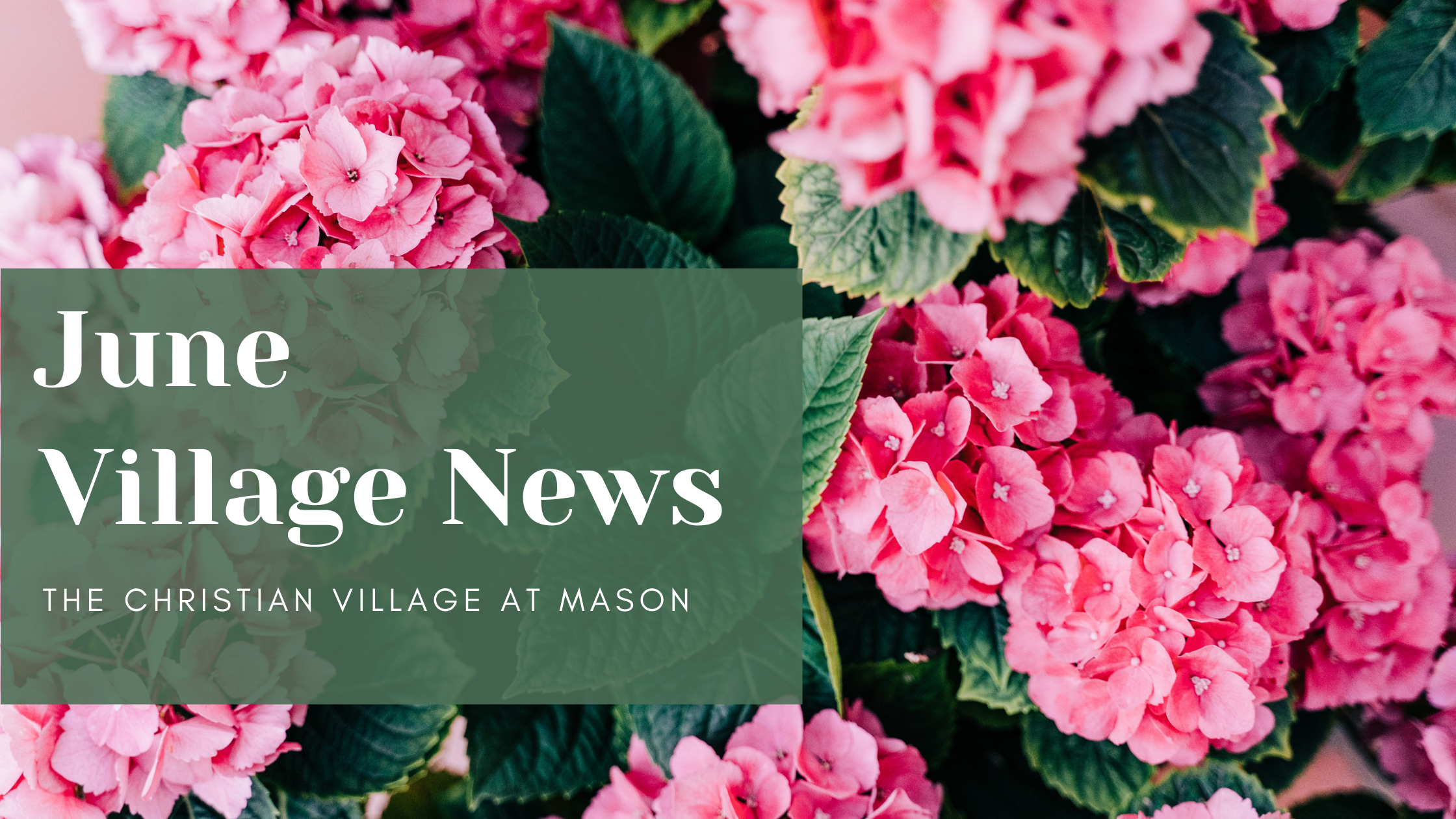 June CVM Village News