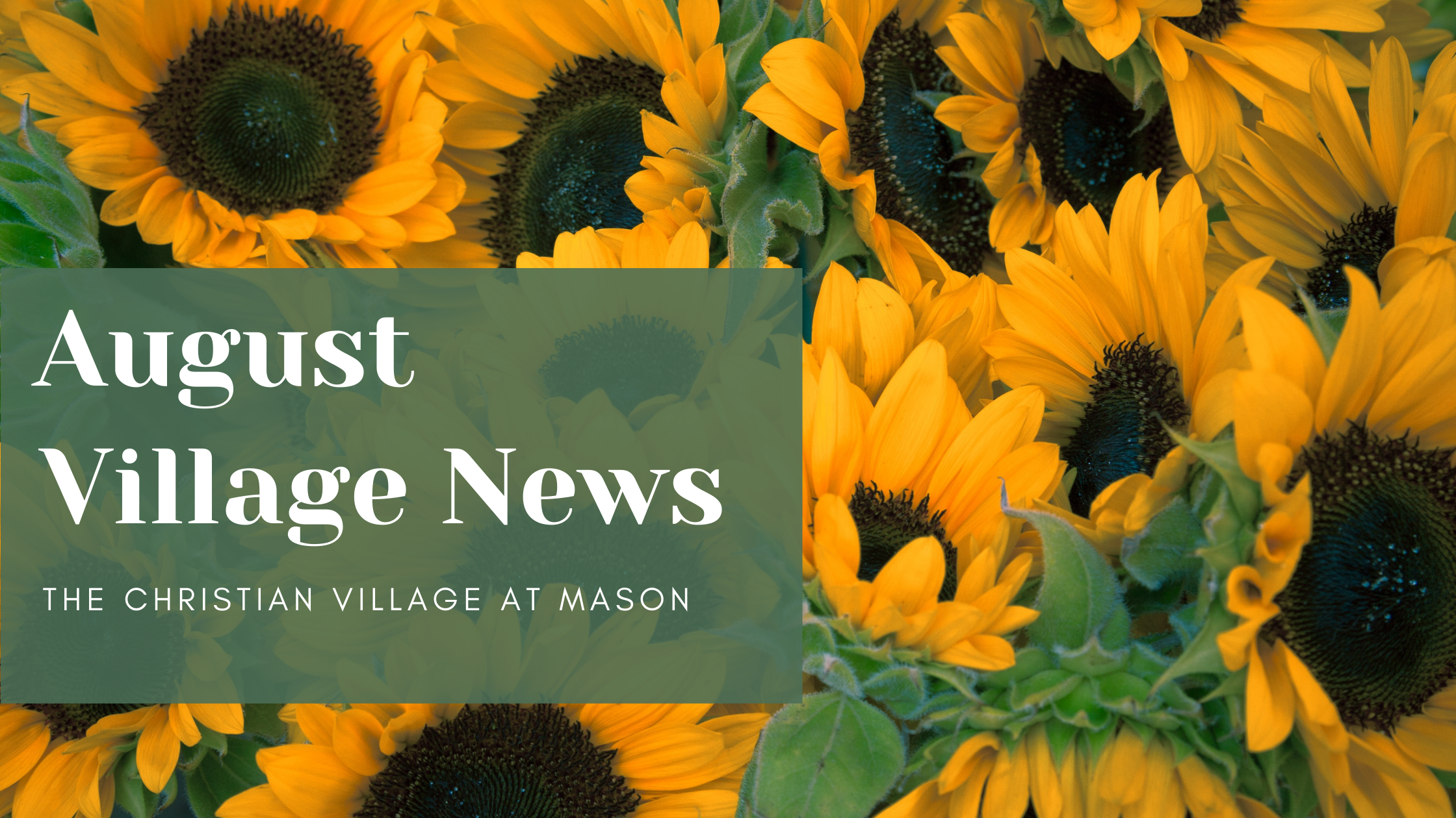 August CVM Village News