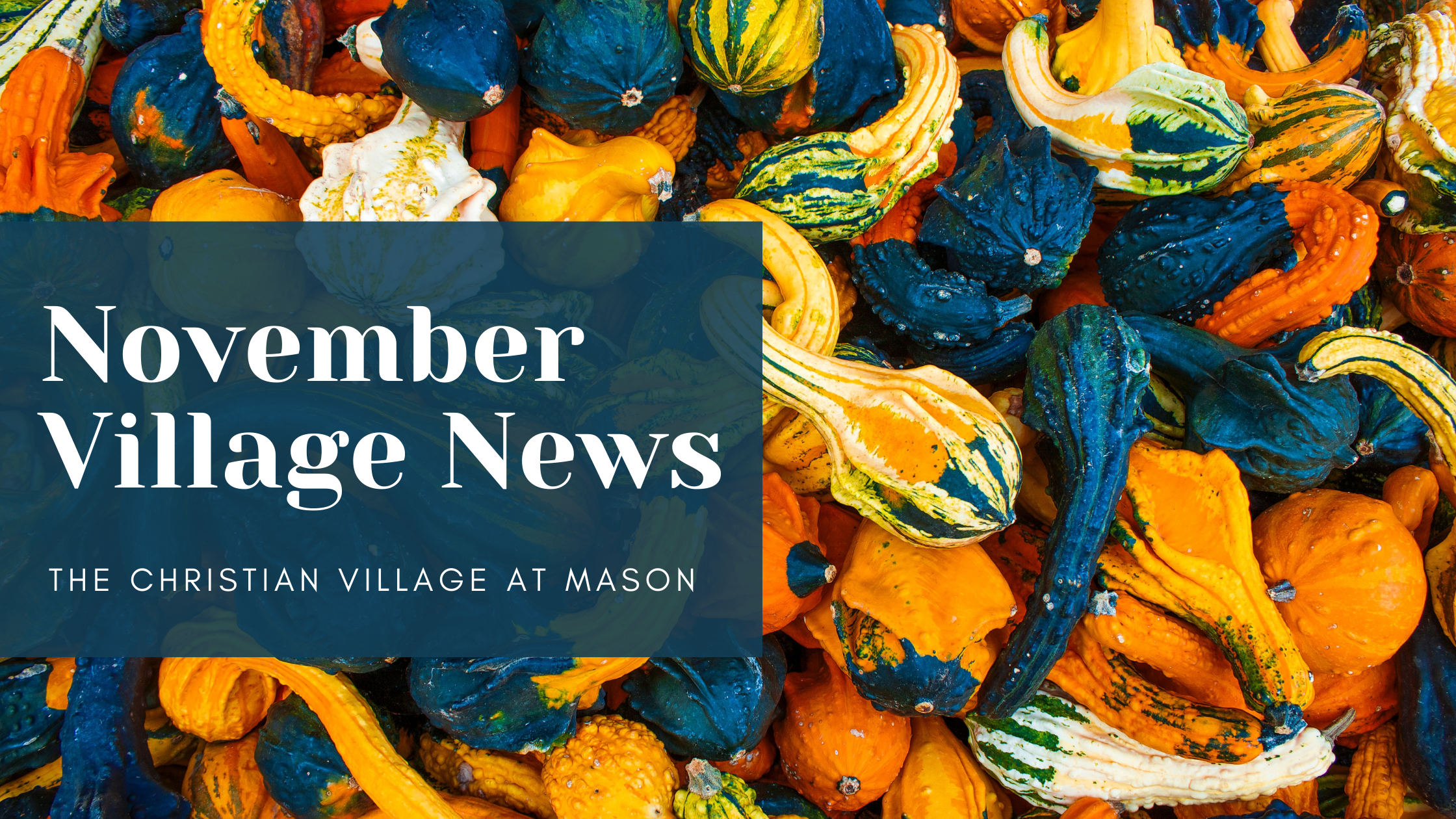 November CVM Village News