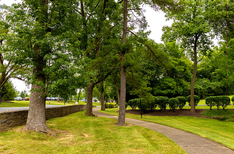 Path through nature at Mt. Healthy