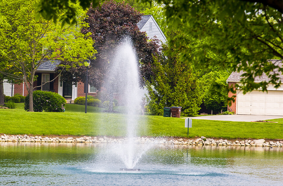 Scenic pond with fountain