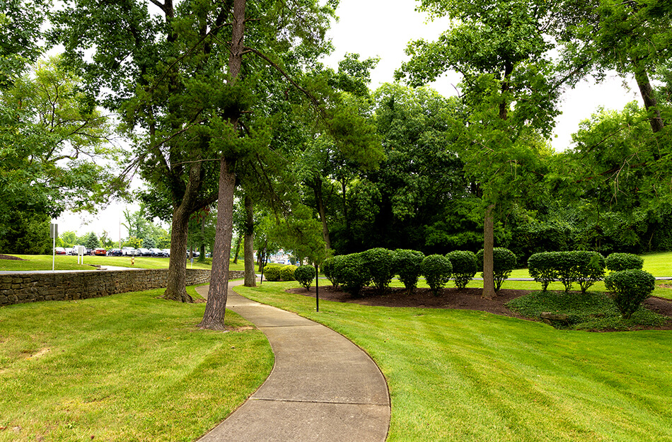 Curved walking path in a green park setting with trees and bushes.
