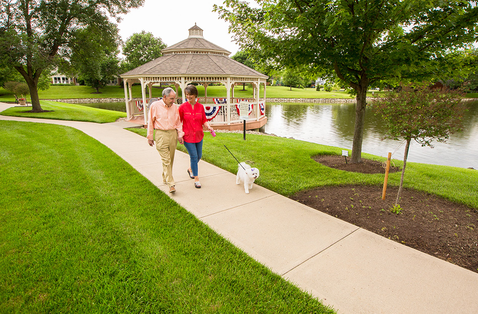 Seniors enjoy a walk in the park with their dog