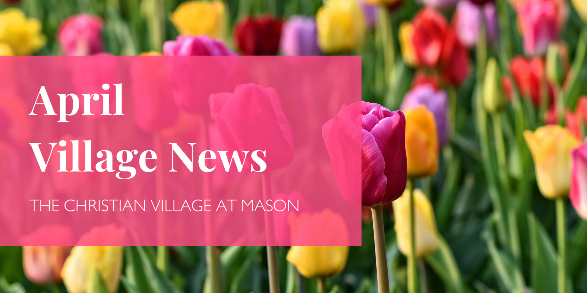 April CVM Village News