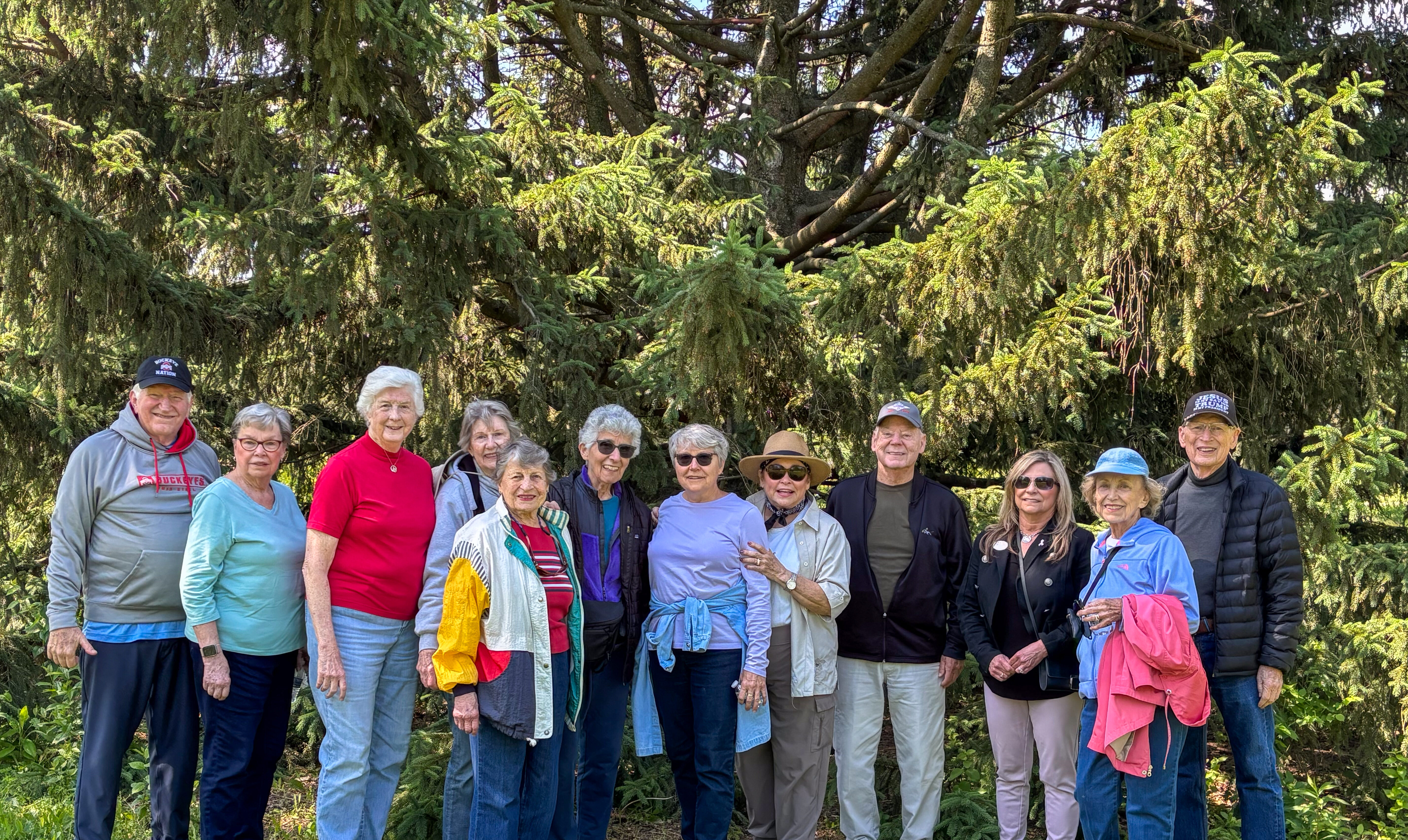 No Alt Tag Available