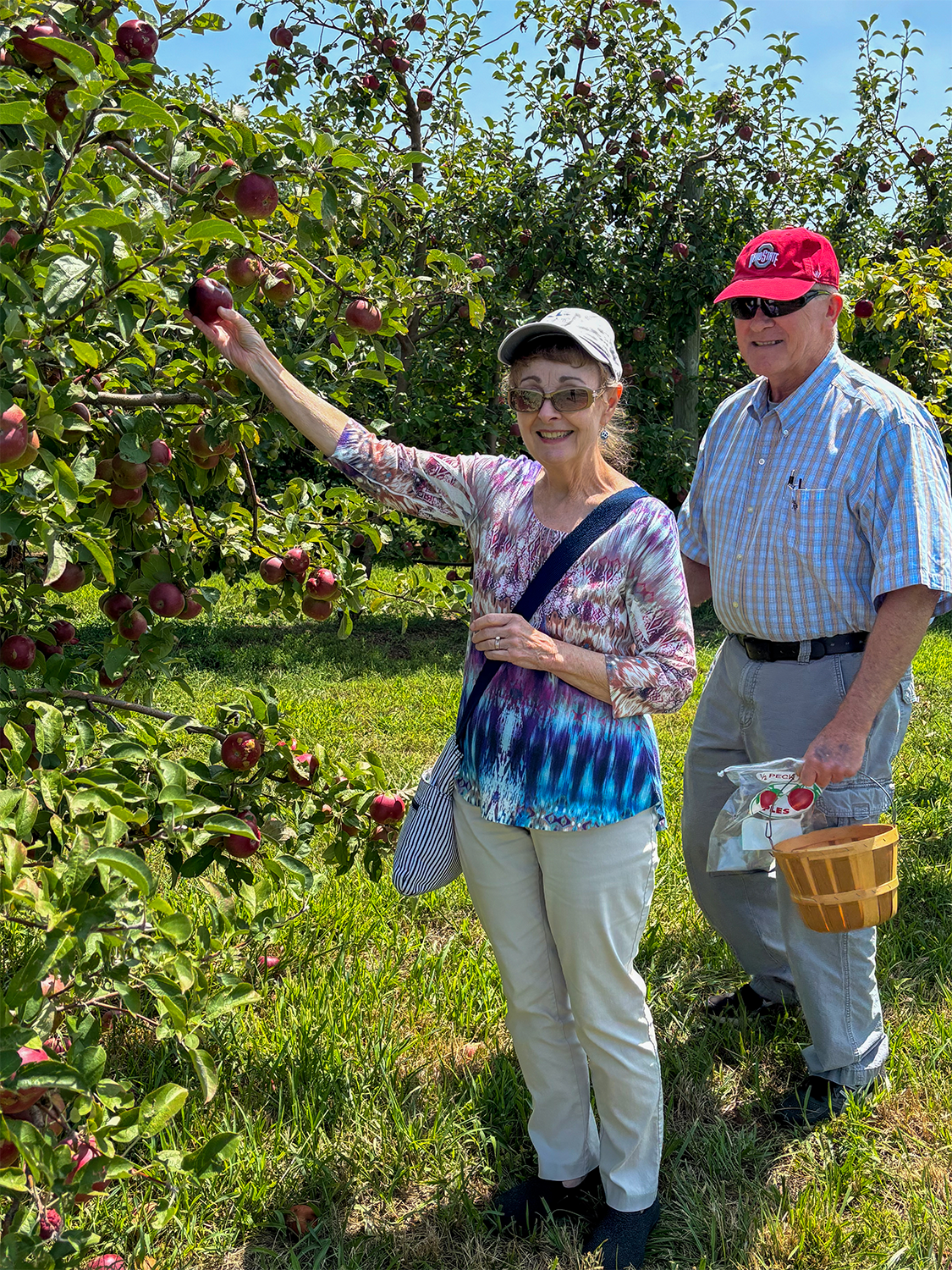 No Alt Tag Available