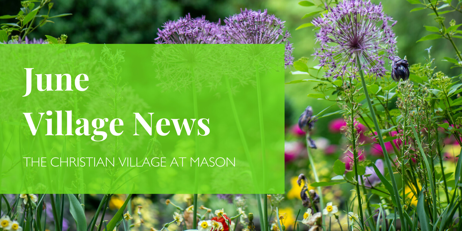 June CVM Village News