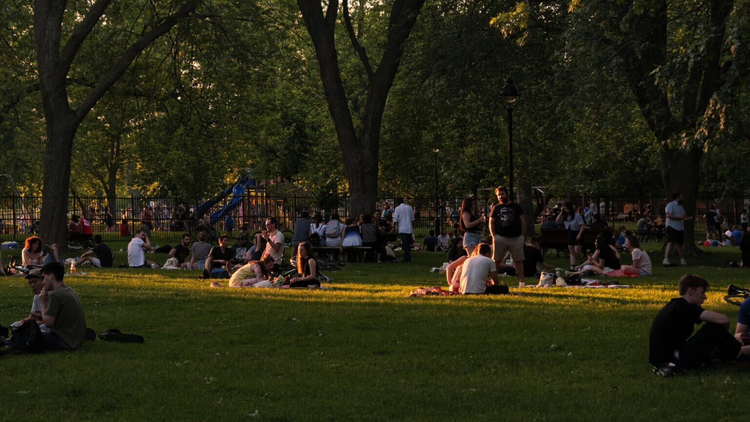Group of people sitting outside at an outdoor concert.